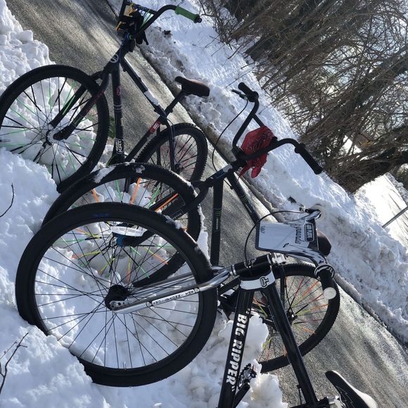 Meet your Posher, Blake - Picture 1 of 1